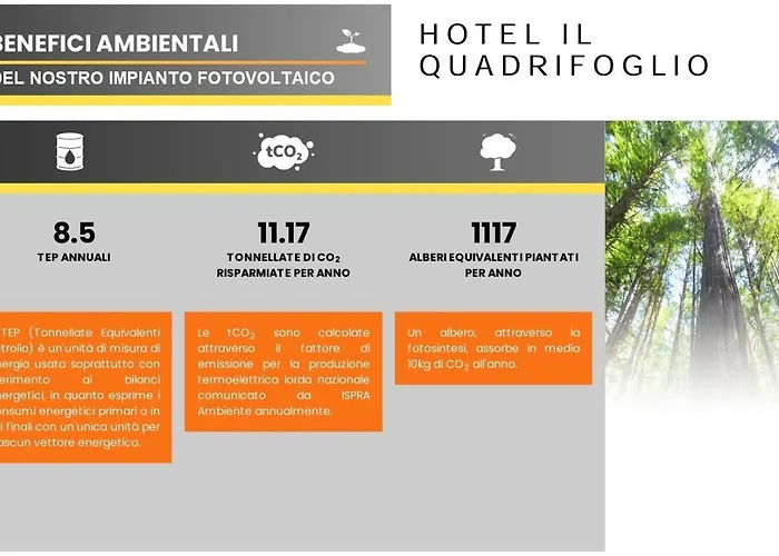 Hotel Quadrifoglio Roma Eur